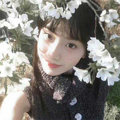 大秦赋